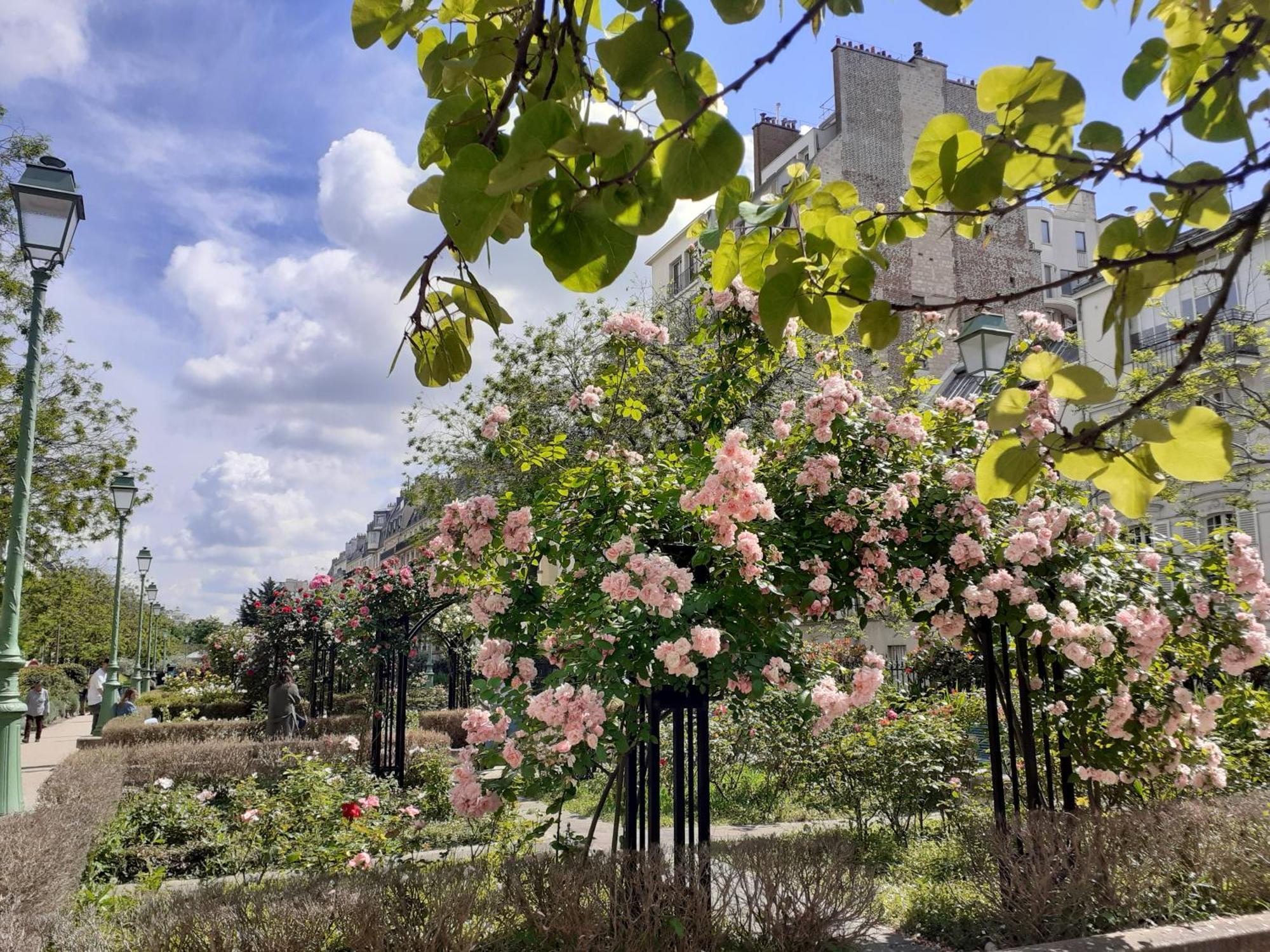 Marie Et Igor Bed & Breakfast Paris Dış mekan fotoğraf
